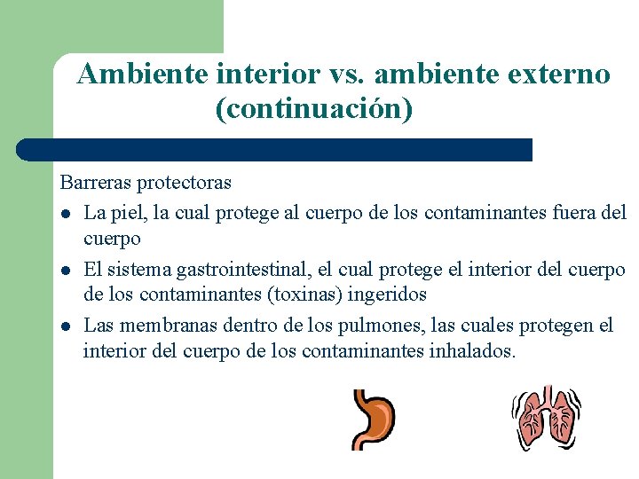 Ambiente interior vs. ambiente externo (continuación) Barreras protectoras l La piel, la cual protege