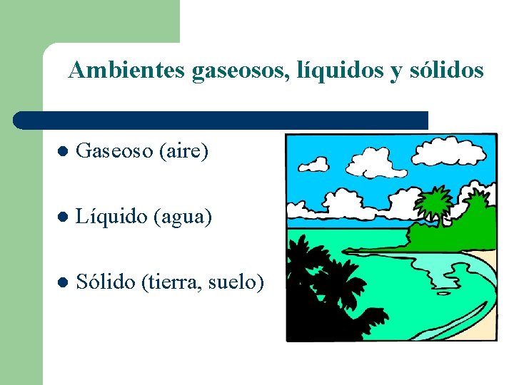 Ambientes gaseosos, líquidos y sólidos l Gaseoso (aire) l Líquido (agua) l Sólido (tierra,