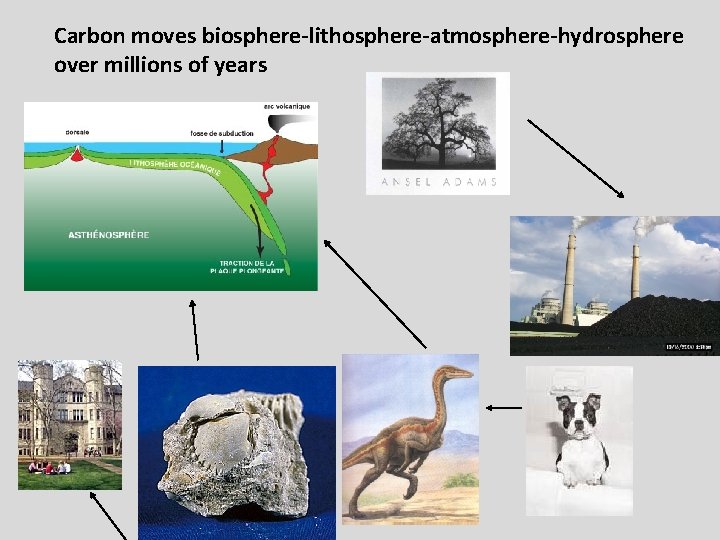 Carbon moves biosphere-lithosphere-atmosphere-hydrosphere over millions of years 