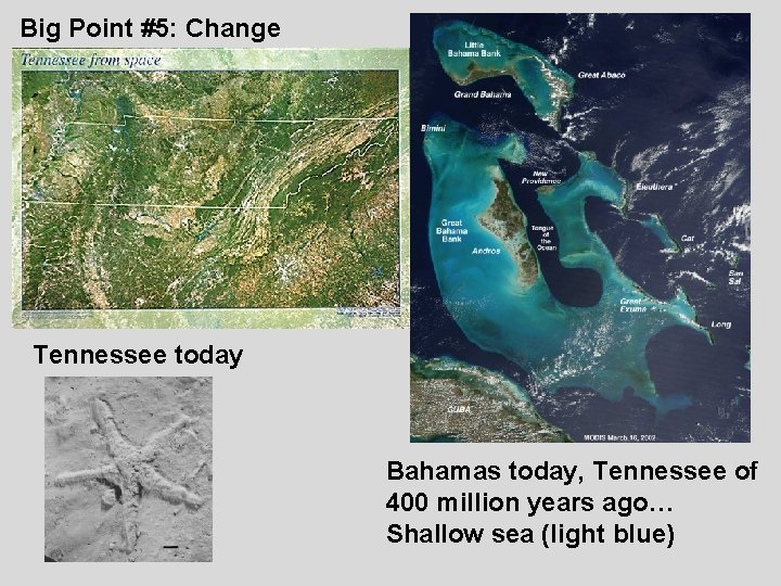 Big Point #5: Change Tennessee today Bahamas today, Tennessee of 400 million years ago…