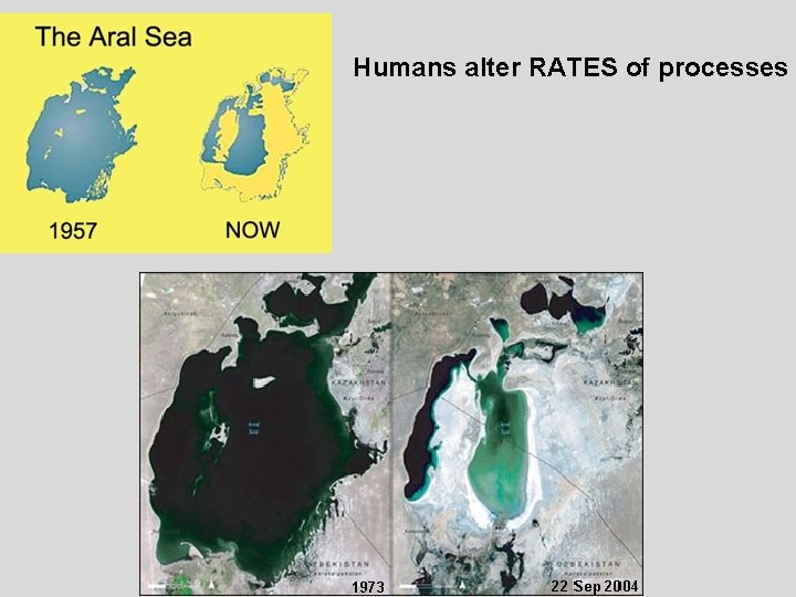 Humans alter RATES of processes 