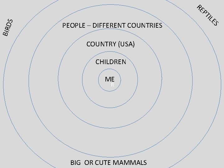 BIRD S RE PEOPLE – DIFFERENT COUNTRIES COUNTRY (USA) CHILDREN ME R BIG OR