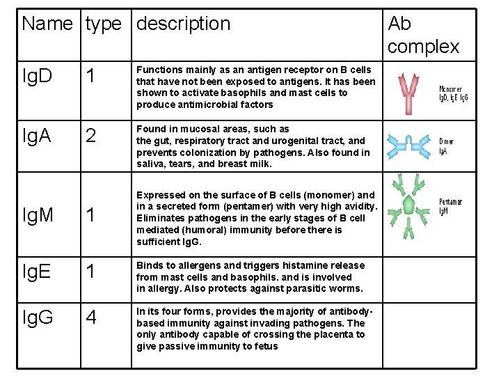  Name type description Ig. D 1 Functions mainly as an antigen receptor on