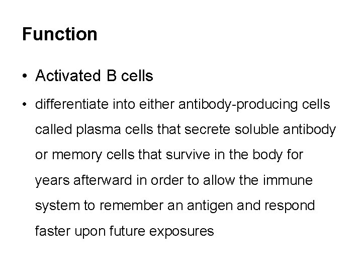Function • Activated B cells • differentiate into either antibody-producing cells called plasma cells