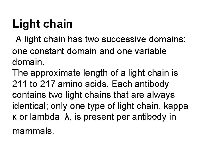 Light chain A light chain has two successive domains: one constant domain and one