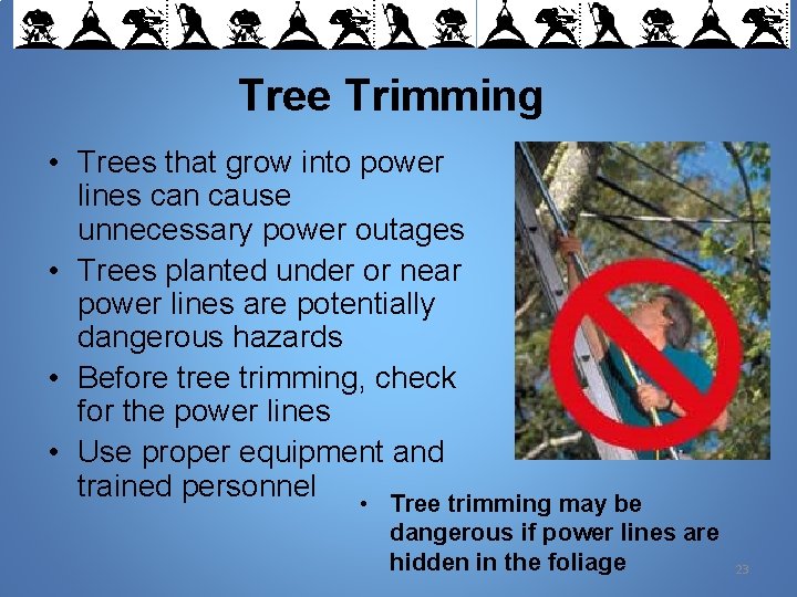 Tree Trimming • Trees that grow into power lines can cause unnecessary power outages