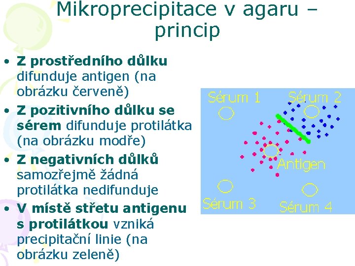 Mikroprecipitace v agaru – princip • Z prostředního důlku difunduje antigen (na obrázku červeně)