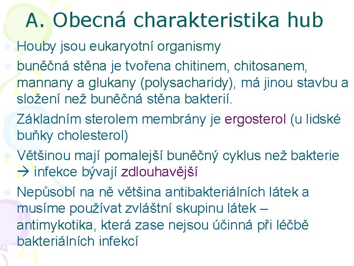 A. Obecná charakteristika hub l l l Houby jsou eukaryotní organismy buněčná stěna je