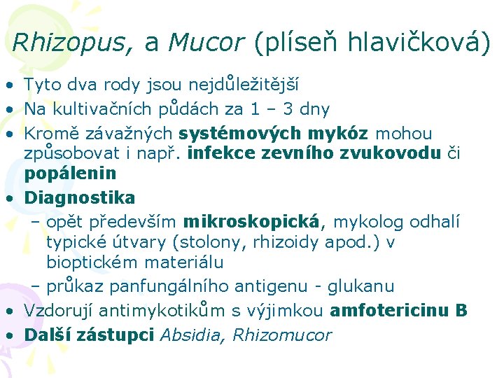 Rhizopus, a Mucor (plíseň hlavičková) • Tyto dva rody jsou nejdůležitější • Na kultivačních