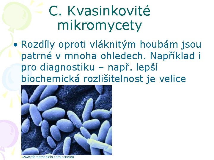 C. Kvasinkovité mikromycety • Rozdíly oproti vláknitým houbám jsou patrné v mnoha ohledech. Například