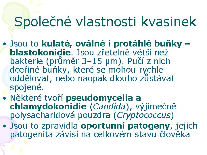 Společné vlastnosti kvasinek • Jsou to kulaté, oválné i protáhlé buňky – blastokonidie. Jsou