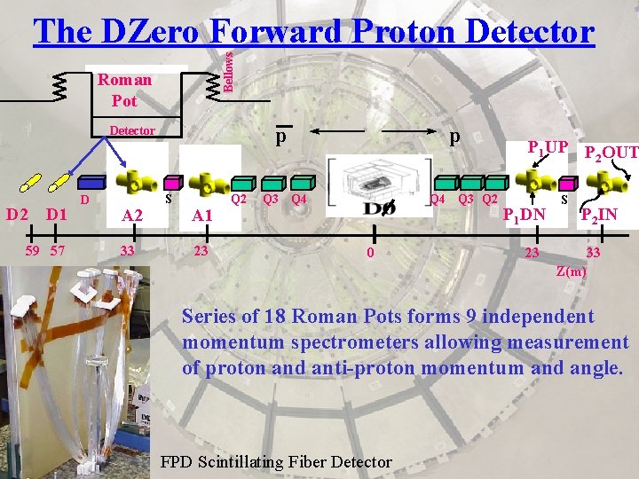 Bellows The DZero Forward Proton Detector Roman Pot D 2 D 1 59 57