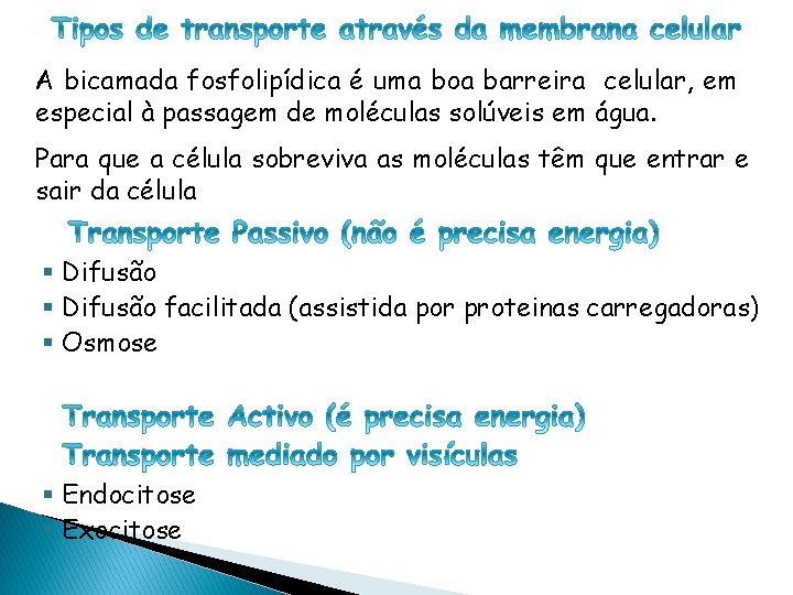 CÉLULA PROCARIÓTICA A bicamada fosfolipídica é uma boa barreira celular, em especial à passagem