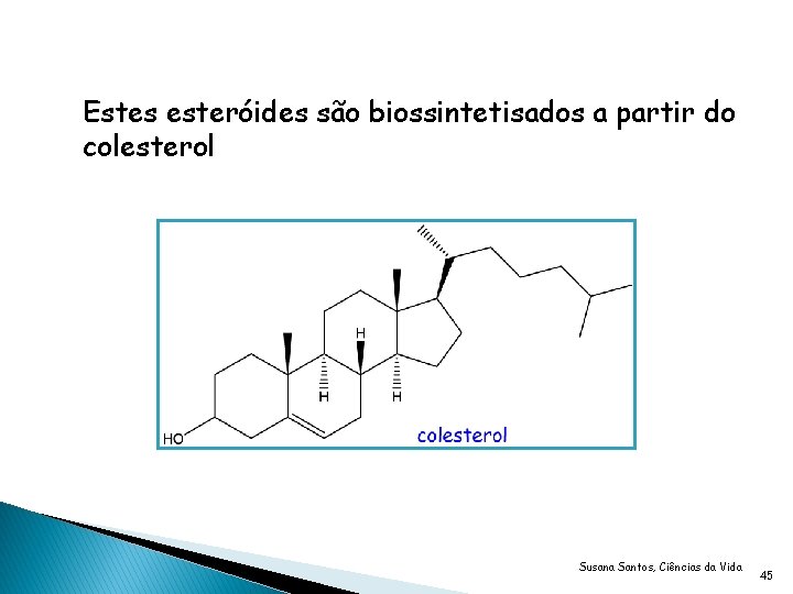 Estes esteróides são biossintetisados a partir do colesterol Susana Santos, Ciências da Vida 45