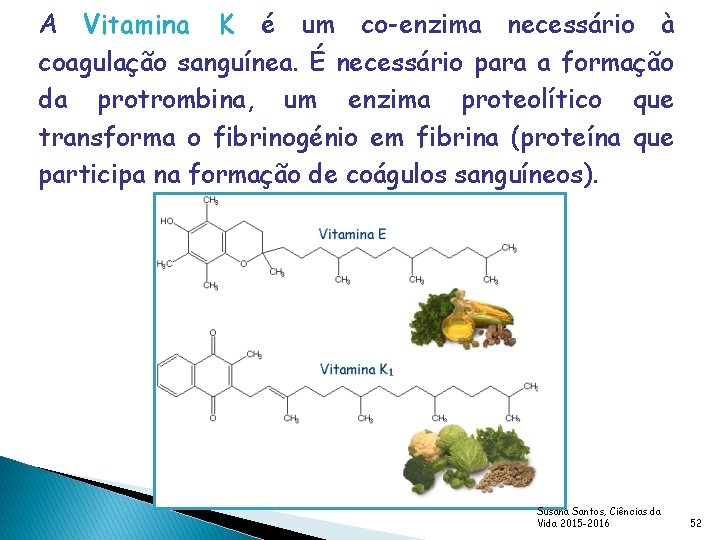 A Vitamina K é um co-enzima necessário à coagulação sanguínea. É necessário para a