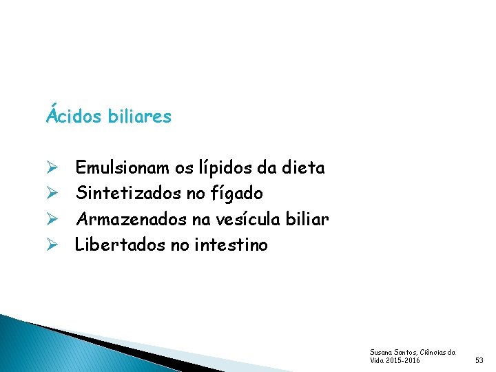 Ácidos biliares Ø Ø Emulsionam os lípidos da dieta Sintetizados no fígado Armazenados na