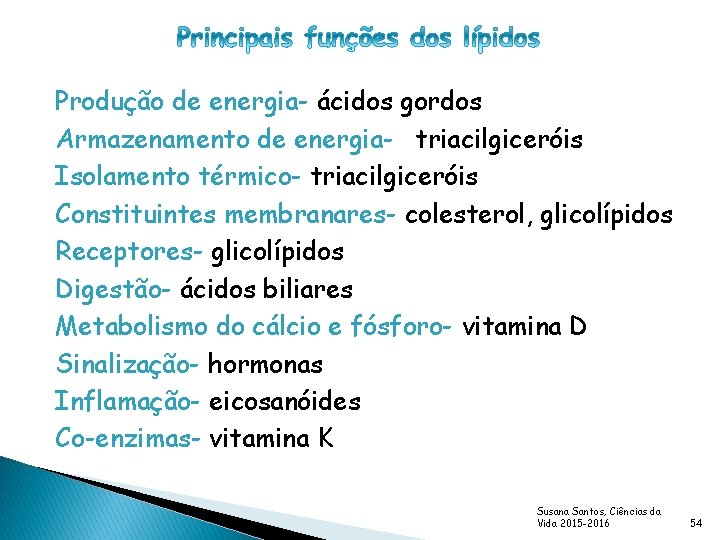 Produção de energia- ácidos gordos Armazenamento de energia- triacilgiceróis Isolamento térmico- triacilgiceróis Constituintes membranares-