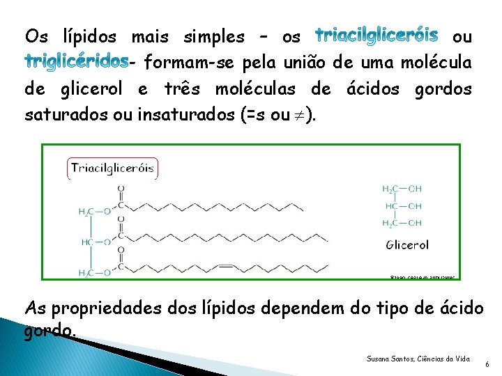 Os lípidos mais simples – os ou - formam-se pela união de uma molécula