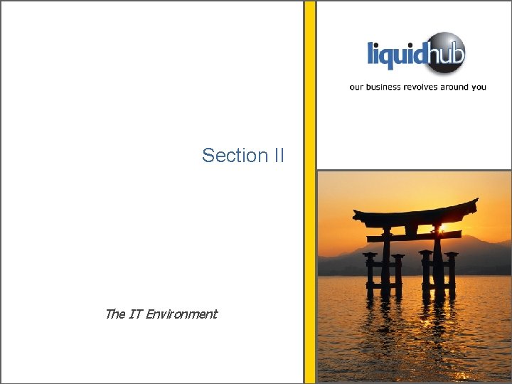 Section II The IT Environment 