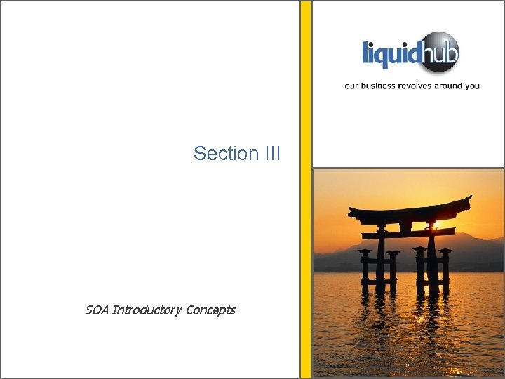 Section III SOA Introductory Concepts 
