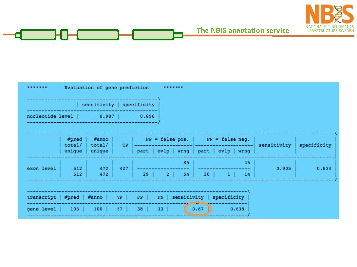 The NBIS annotation service 