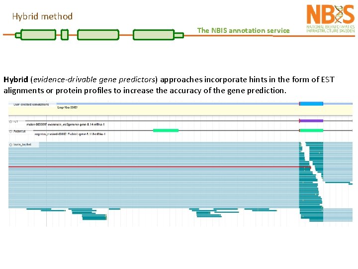 Hybrid method The NBIS annotation service Hybrid (evidence-drivable gene predictors) approaches incorporate hints in