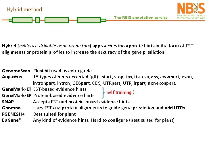 Hybrid method The NBIS annotation service Hybrid (evidence-drivable gene predictors) approaches incorporate hints in