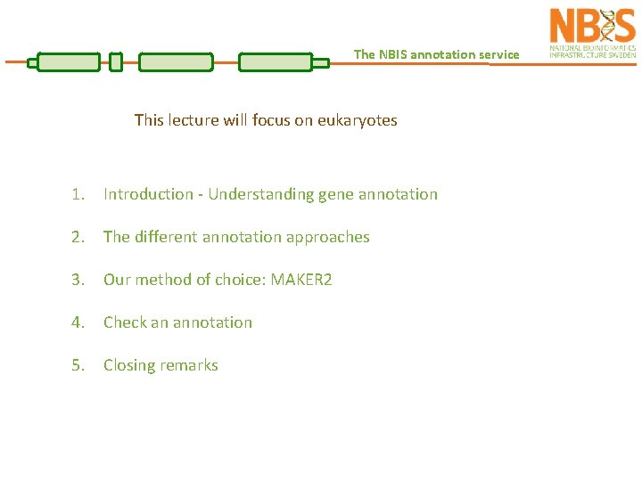 The NBIS annotation service This lecture will focus on eukaryotes 1. Introduction - Understanding