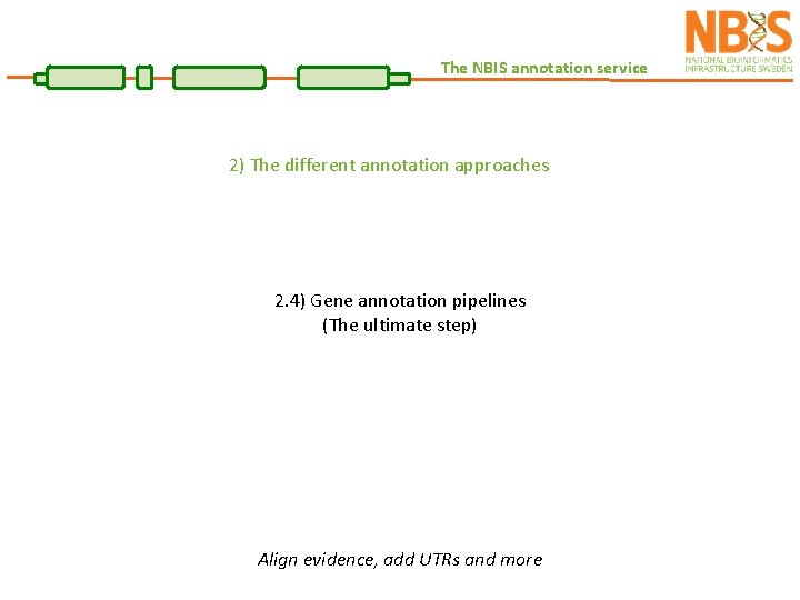 The NBIS annotation service 2) The different annotation approaches 2. 4) Gene annotation pipelines