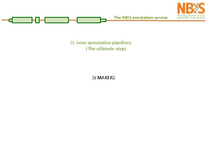 The NBIS annotation service 3) Gene annotation pipelines (The ultimate step) 3) MAKER 2