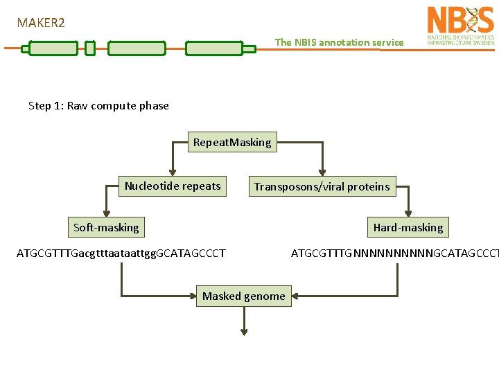 MAKER 2 The NBIS annotation service Step 1: Raw compute phase Repeat. Masking Nucleotide