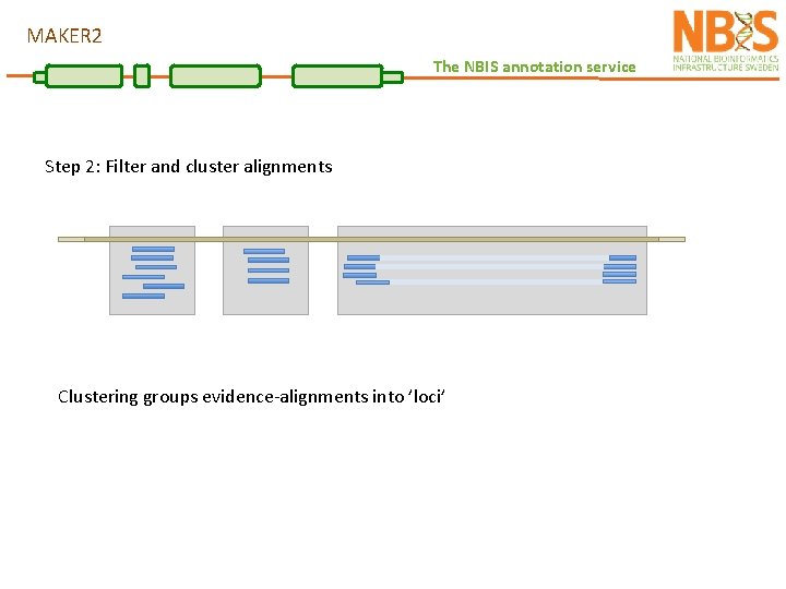 MAKER 2 The NBIS annotation service Step 2: Filter and cluster alignments Clustering groups