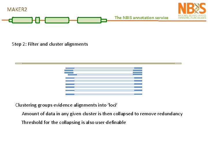 MAKER 2 The NBIS annotation service Step 2: Filter and cluster alignments Clustering groups