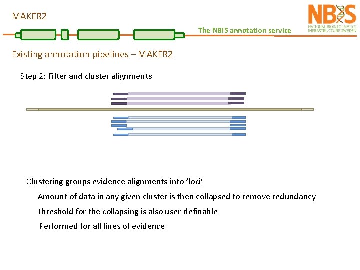 MAKER 2 The NBIS annotation service Existing annotation pipelines – MAKER 2 Step 2: