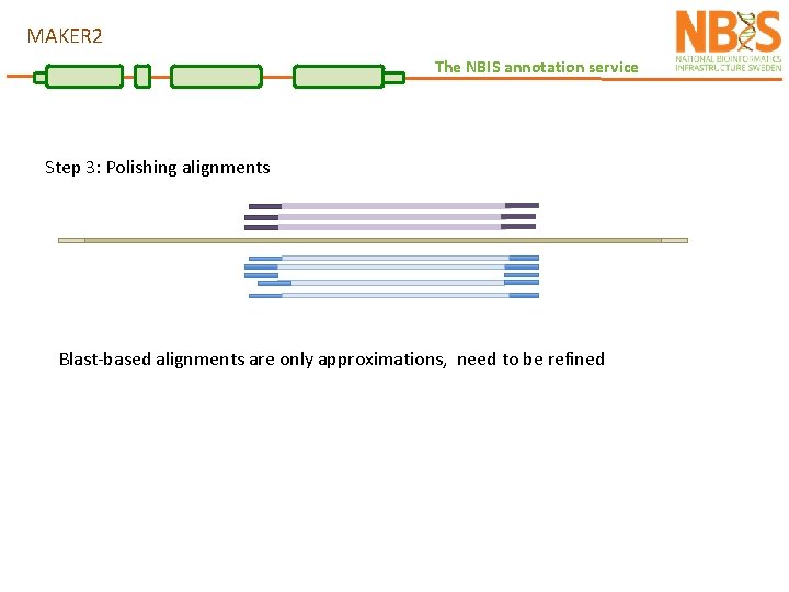 MAKER 2 The NBIS annotation service Step 3: Polishing alignments Blast-based alignments are only