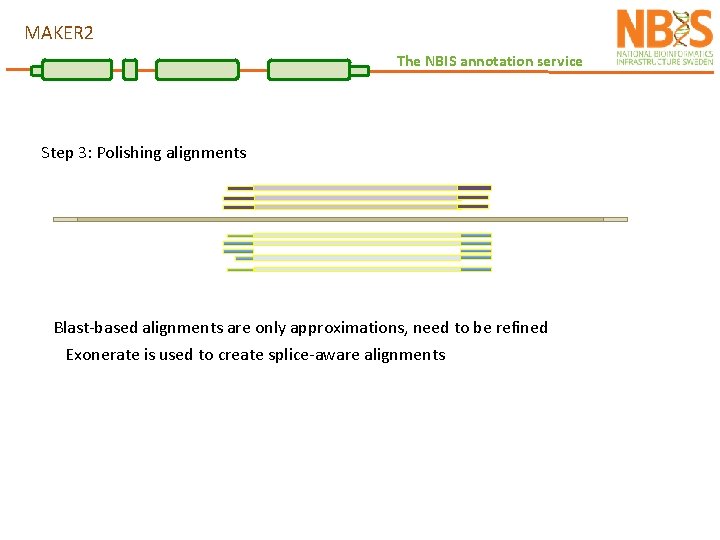 MAKER 2 The NBIS annotation service Step 3: Polishing alignments Blast-based alignments are only