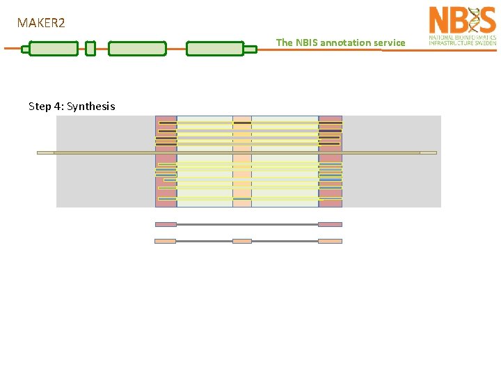 MAKER 2 The NBIS annotation service Step 4: Synthesis 