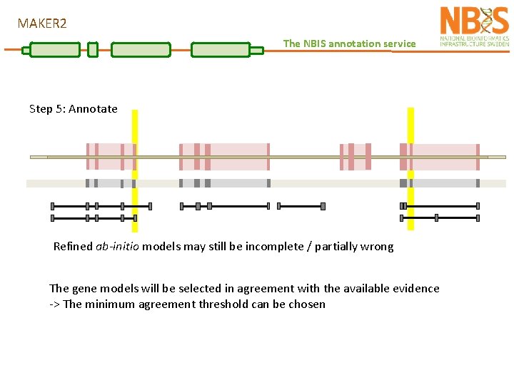 MAKER 2 The NBIS annotation service Step 5: Annotate Refined ab-initio models may still