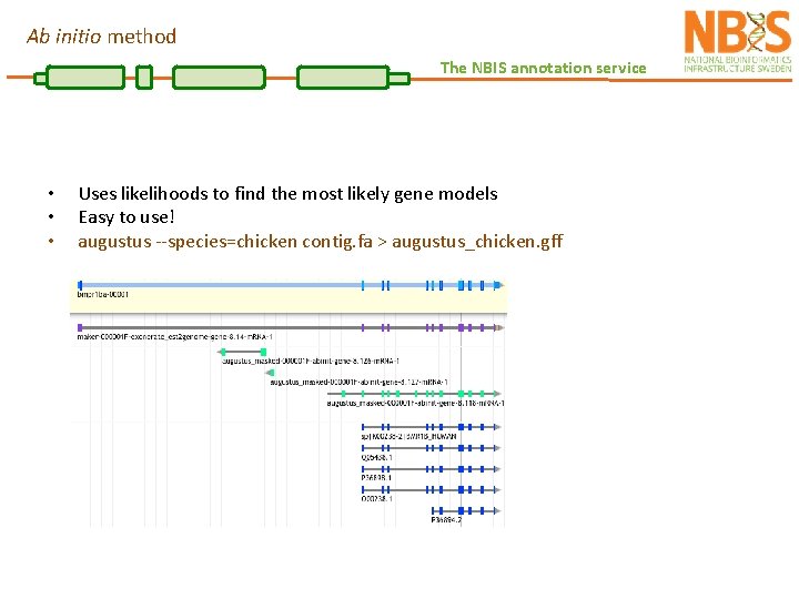 Ab initio method The NBIS annotation service • • • Uses likelihoods to find