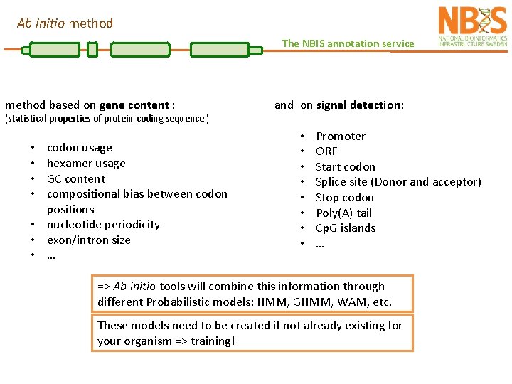 Ab initio method The NBIS annotation service method based on gene content : (statistical