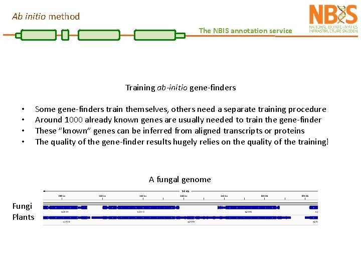 Ab initio method The NBIS annotation service Training ab-initio gene-finders • • Some gene-finders