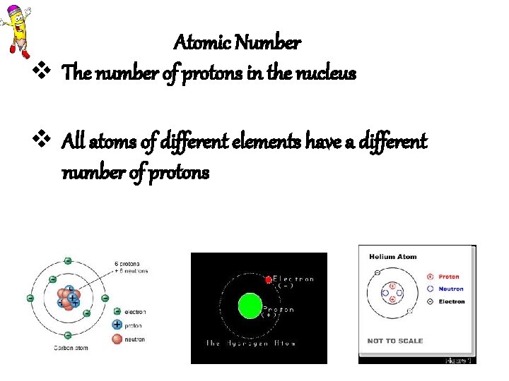 Atomic Number v The number of protons in the nucleus v All atoms of