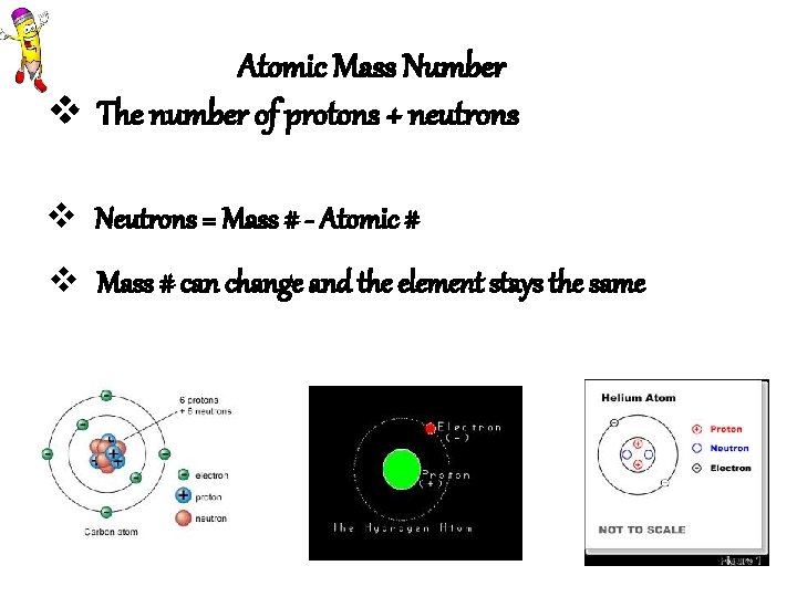 Atomic Mass Number v The number of protons + neutrons v Neutrons = Mass