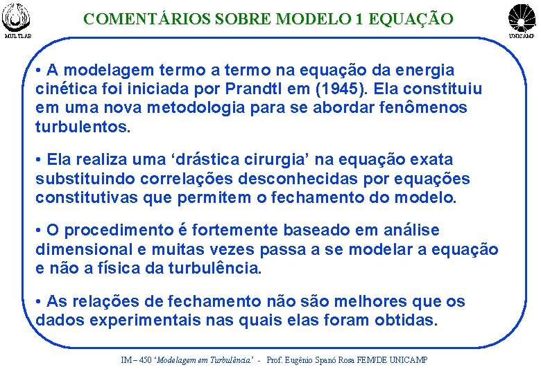 COMENTÁRIOS SOBRE MODELO 1 EQUAÇÃO MULTLAB UNICAMP • A modelagem termo a termo na