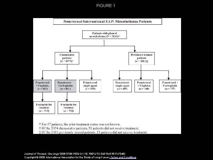 FIGURE 1 Journal of Thoracic Oncology 2008 3756 -763 DOI: (10. 1097/JTO. 0 b