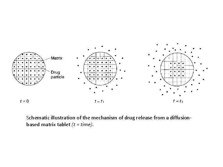 Schematic illustration of the mechanism of drug release from a diffusionbased matrix tablet (t
