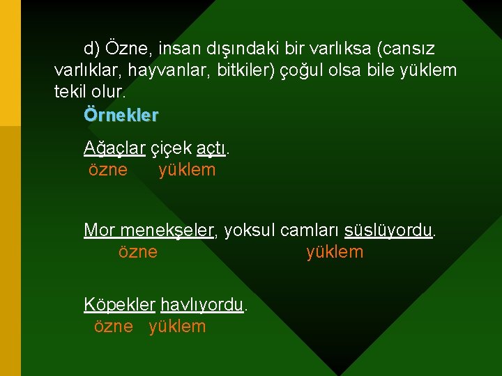 d) Özne, insan dışındaki bir varlıksa (cansız varlıklar, hayvanlar, bitkiler) çoğul olsa bile yüklem