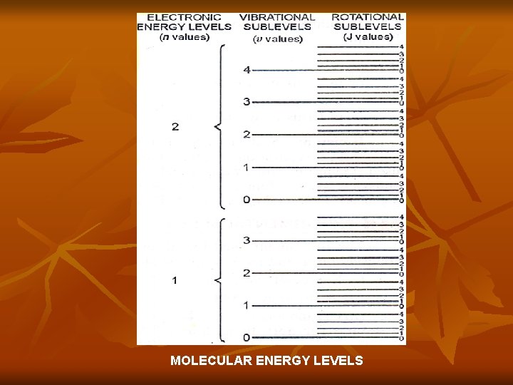 MOLECULAR ENERGY LEVELS 