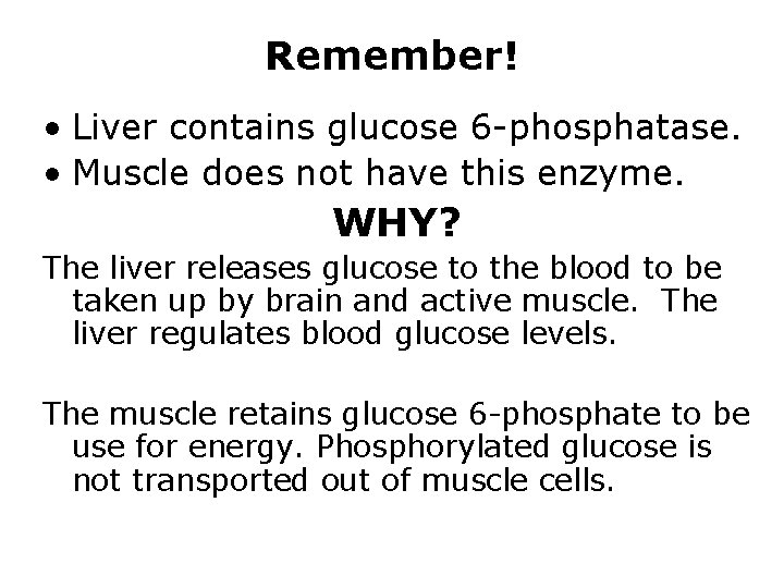 Remember! • Liver contains glucose 6 -phosphatase. • Muscle does not have this enzyme.