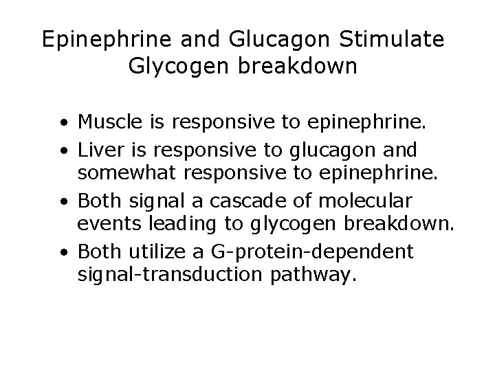 Epinephrine and Glucagon Stimulate Glycogen breakdown • Muscle is responsive to epinephrine. • Liver